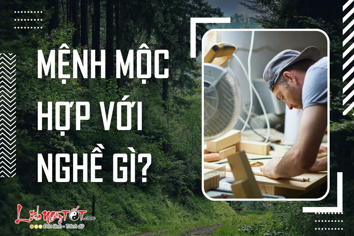 Menh Moc hop voi nghe gi