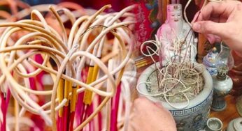Hướng dẫn cách tỉa chân nhang ngày tết
