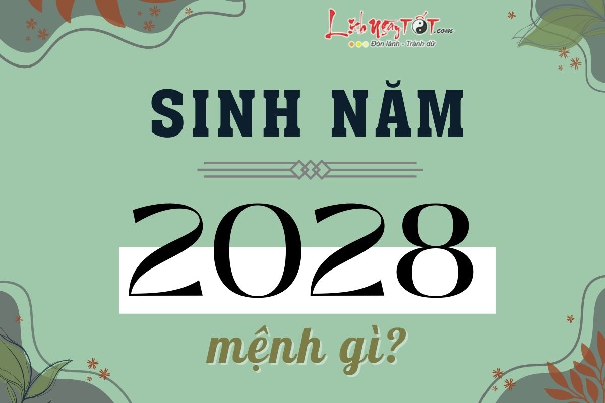 Sinh nam 2028 menh gi