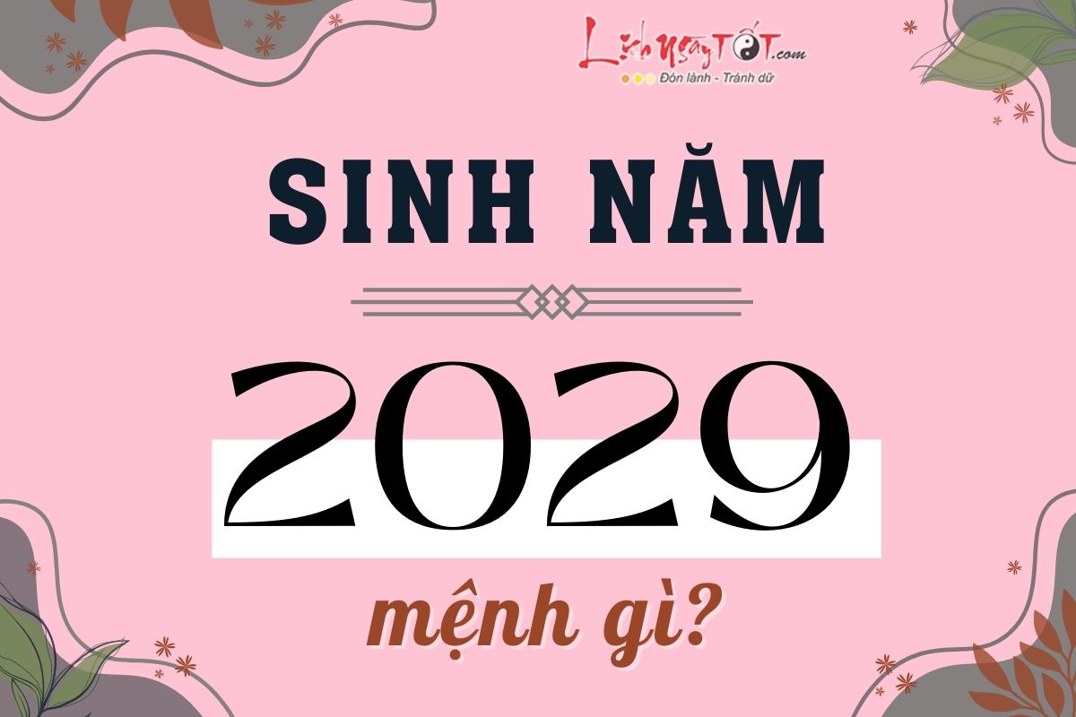 Sinh nam 2029 menh gi