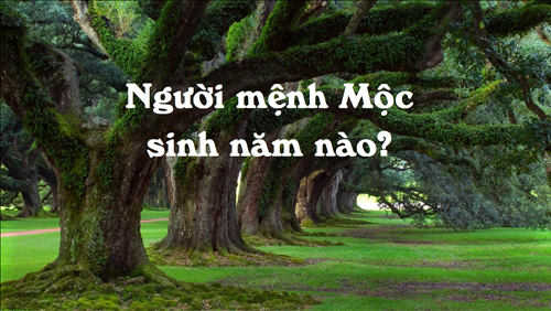 nguoi menh moc sinh nam nao