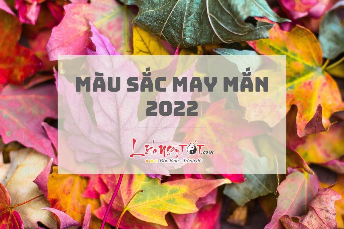 Mau sac may man cua 12 con giap nam 2022 la mau gi