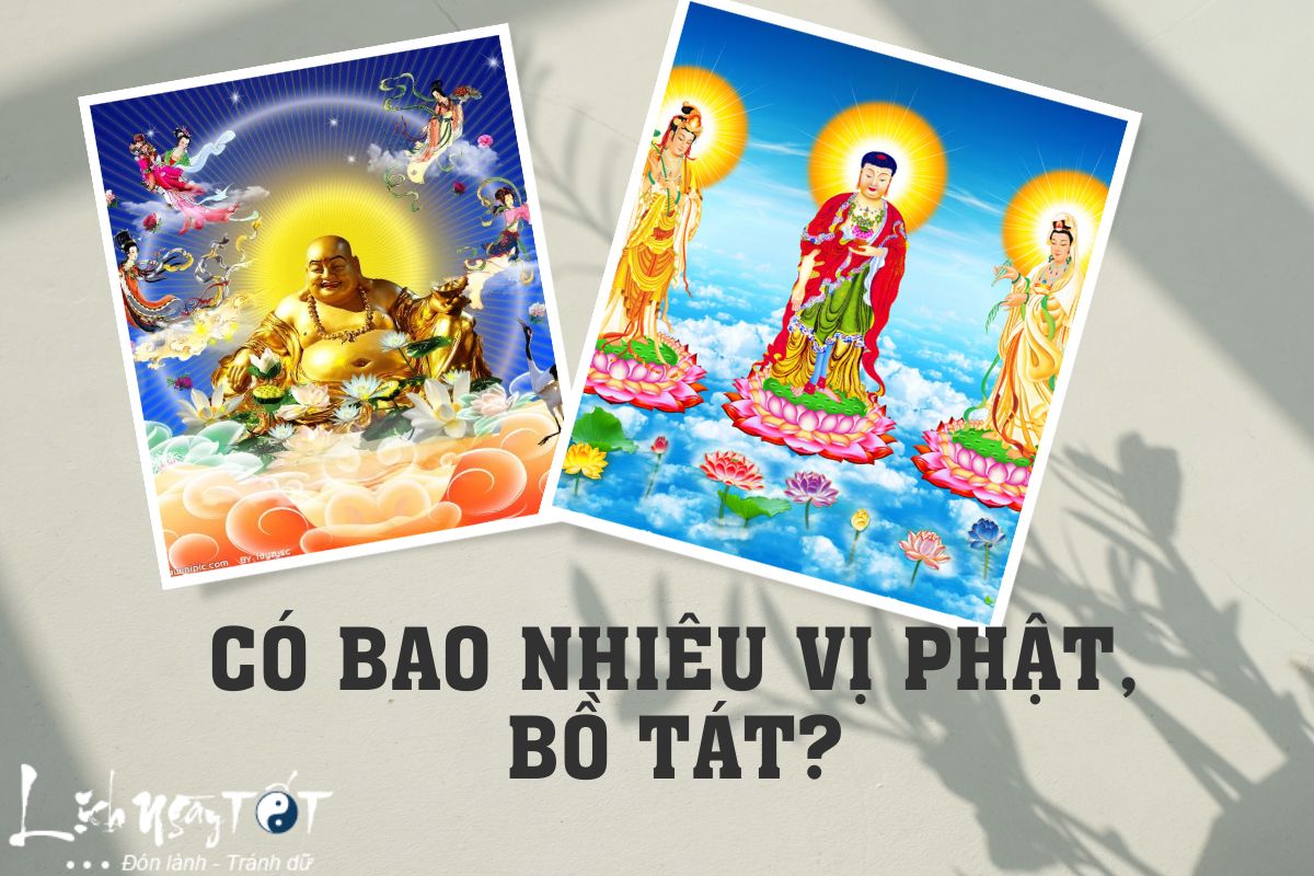 Co bao nhieu vi Phat va Bo tat