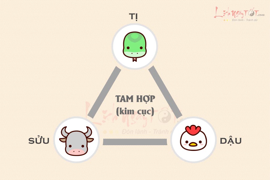 Bộ 3 tam hợp Tị Dậu Sửu