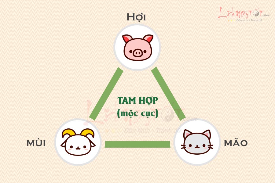 Bộ 3 tam hợp Hợi Mão Mùi