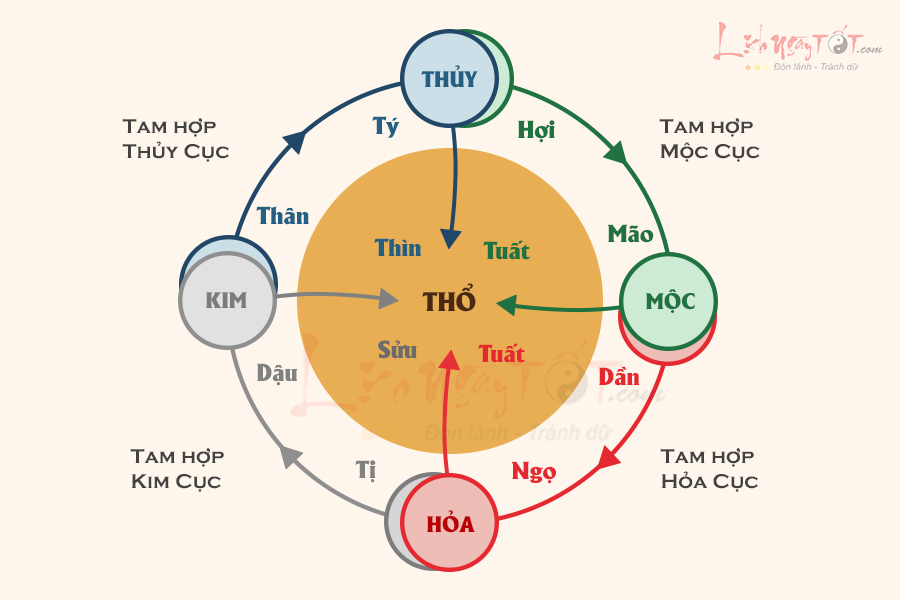 Tam hợp là gì?