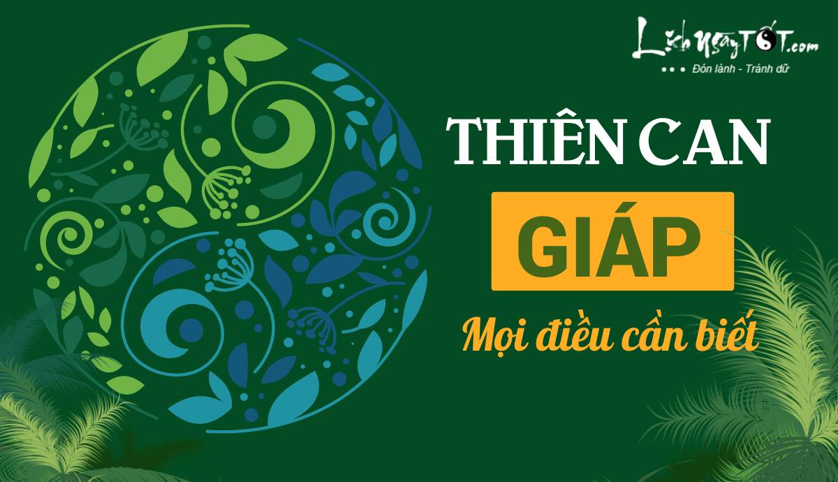 Thien can Giap - Moi dieu can biet