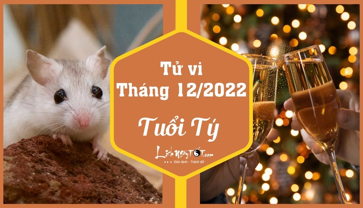 Tu vi thang 12/2022 cua 12 con giap am lich - Tuoi Ty