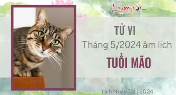 Tử vi tháng 5/2024 cho tuổi Mão âm lịch: Tự tin tự lập, không cần sự giúp đỡ của người khác