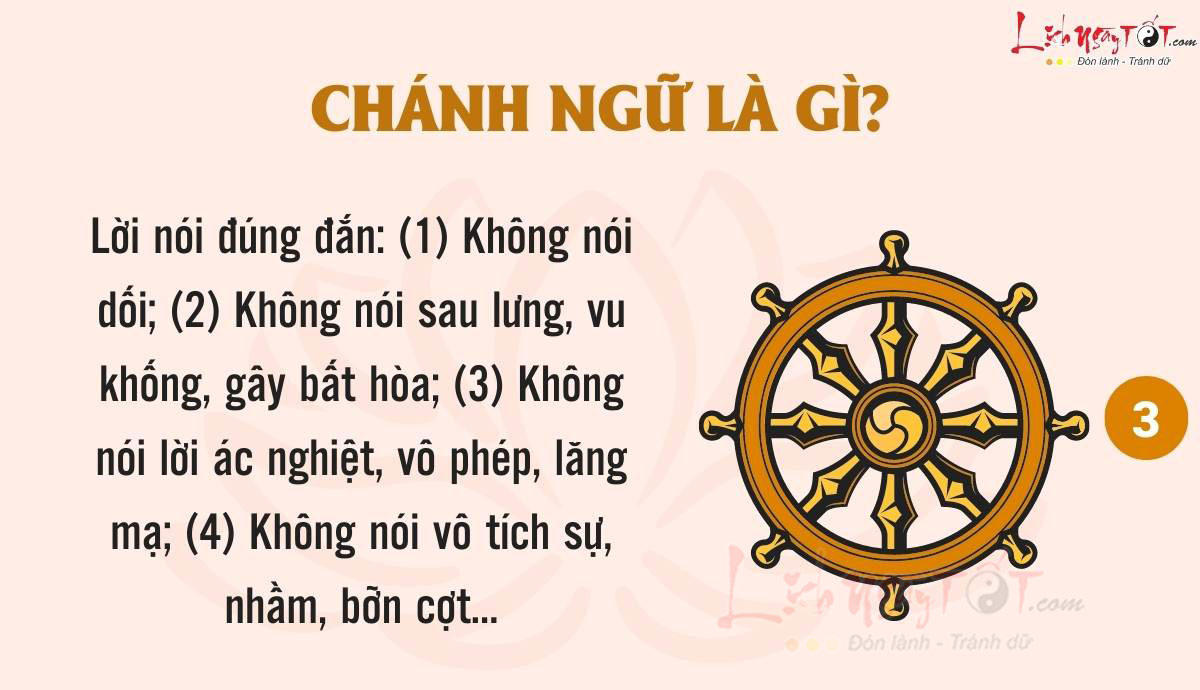 Bat chanh dao - Chanh ngu la gi?