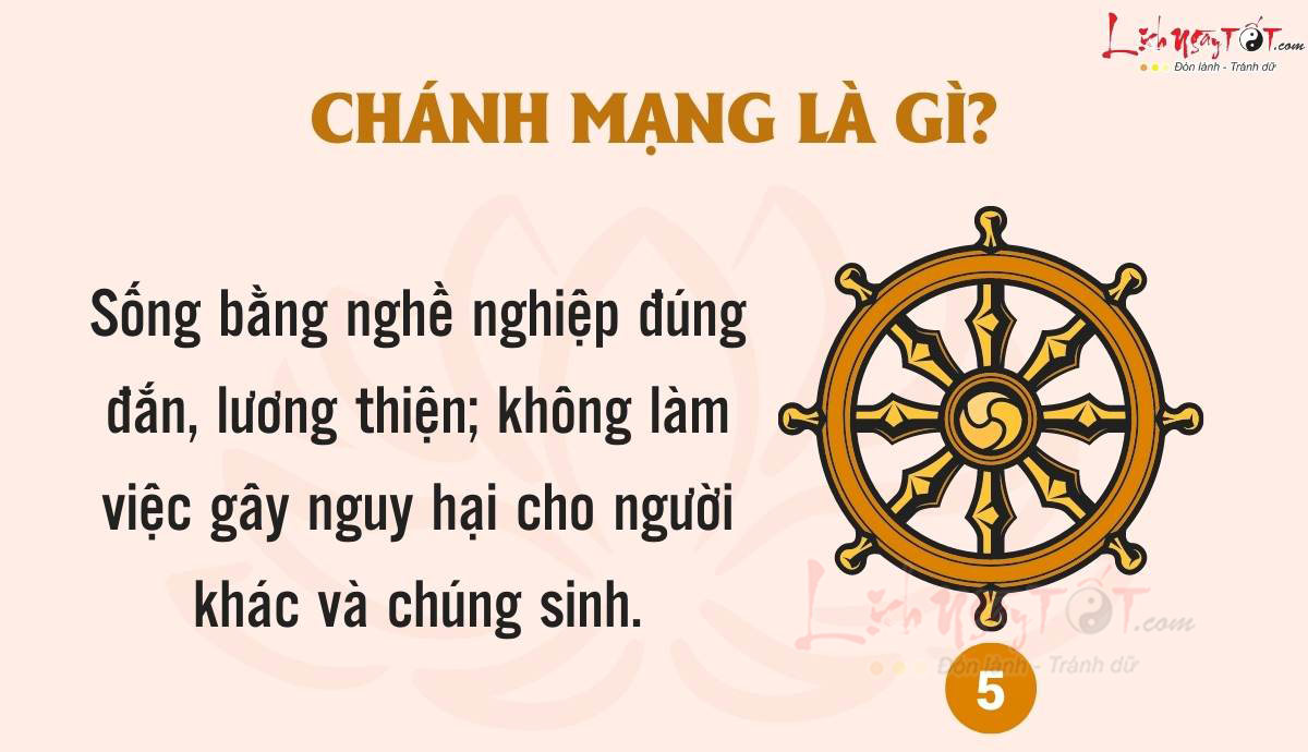 Bat chanh dao - Chanh mang la gi?