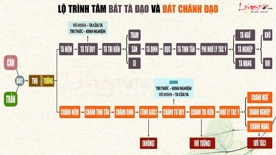 Lo trinh thay doi tam bat ta dao va bat chinh dao