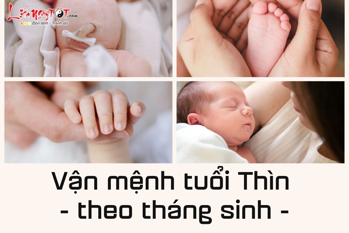 Van menh tuoi Thin theo thang sinh