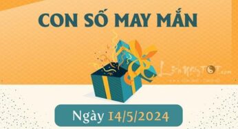 Ngày 14/5/2024: Số may mắn được ban cho bạn bởi Ông Địa, hãy nhận lộc vàng ngay!