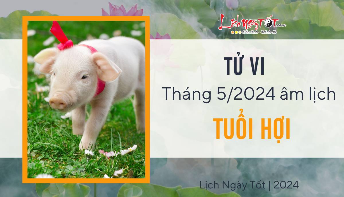 tu vi thang 5/2024 tuoi Hoi am lich