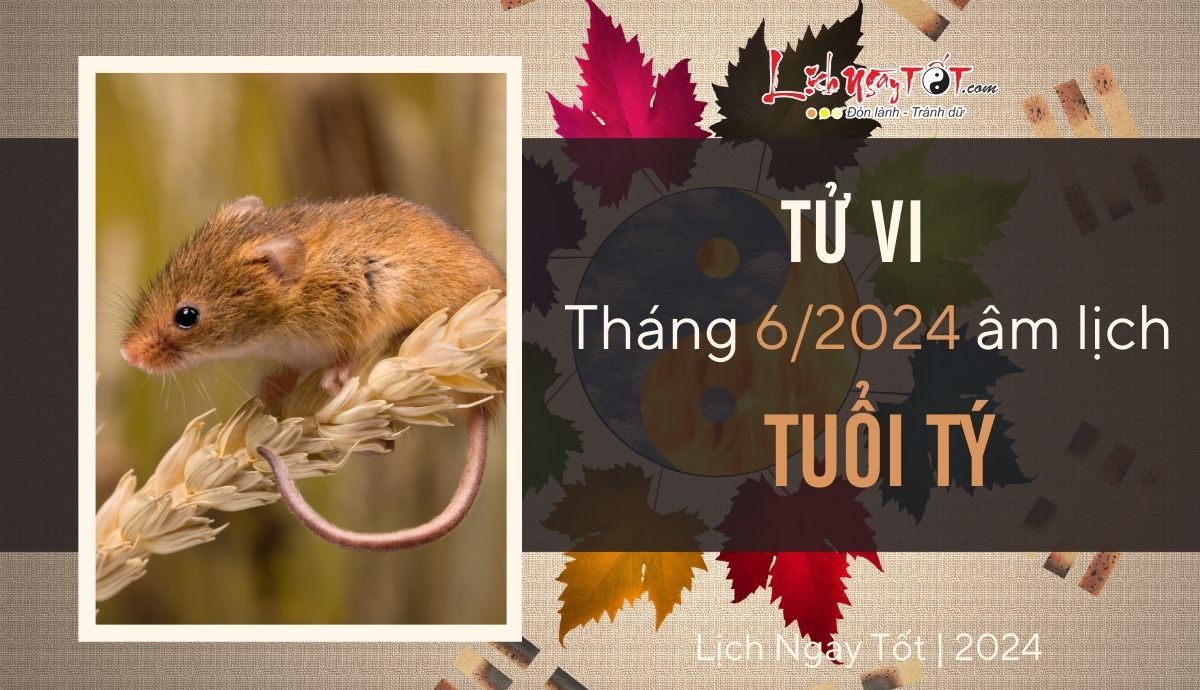 Tu vi thang 6/2024 tuoi Ty am lich