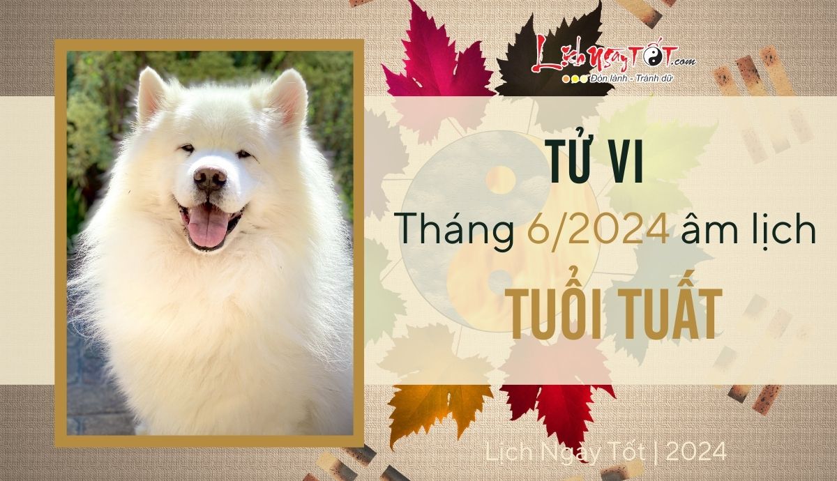 Tu vi thang 6/2024 tuoi Tuat am lich