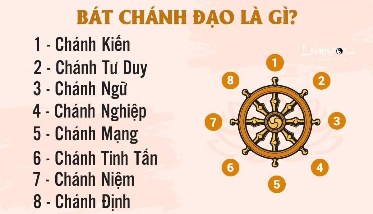 Bat chanh dao la gi?