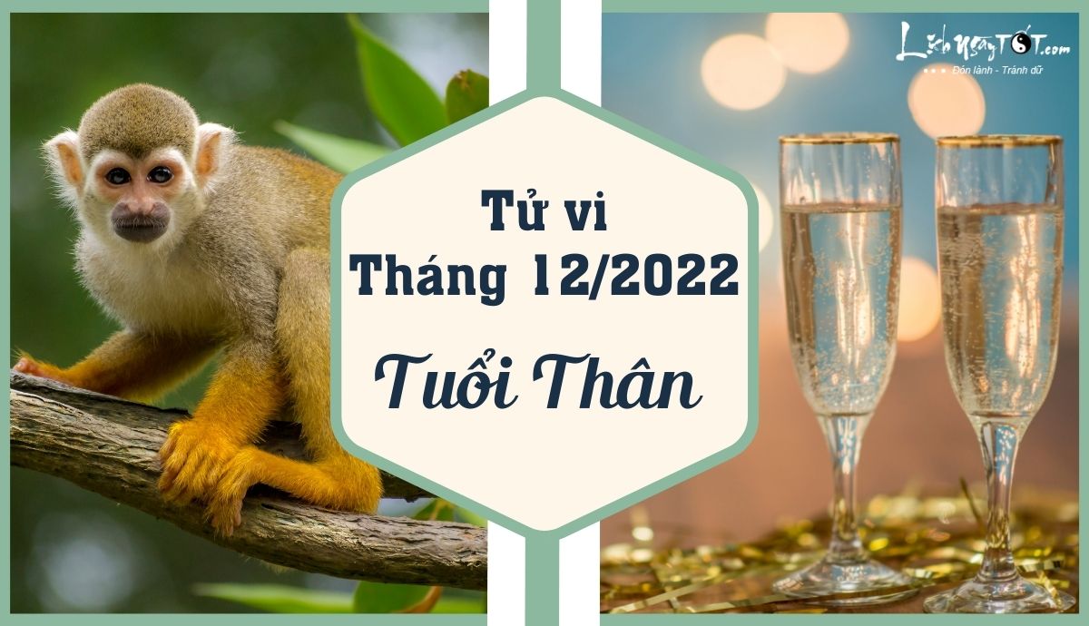 Tu vi thang 12/2022 tuoi Than am lich