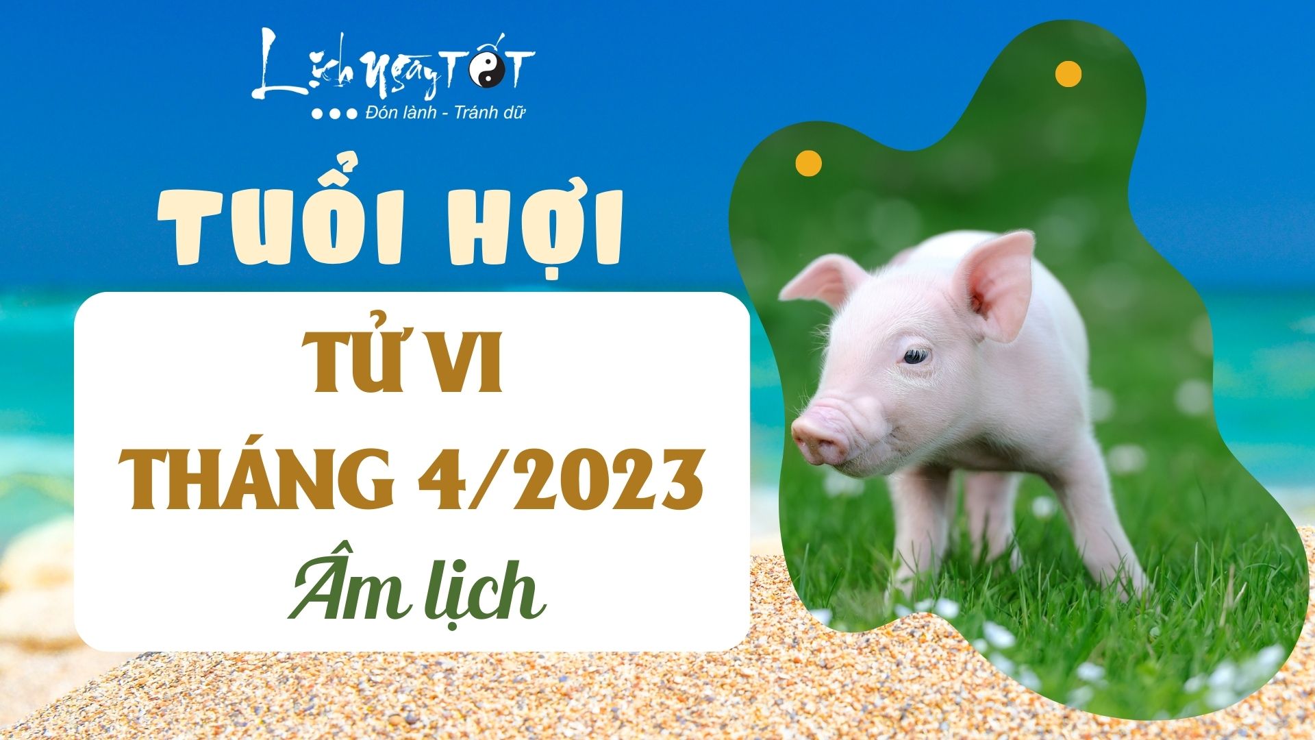 Tu vi thang 4/2023 tuoi Hoi am lich