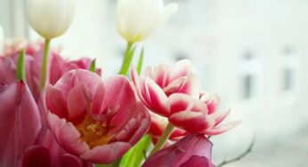 tuần nàyDự báo tuần mới cho 12 con giáp từ 13 – 19/5/2024: Hợi sẽ gặp phải lãng phí trong tuần này