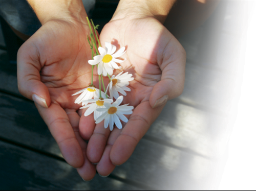 cach de 12 con giap hanh phuc