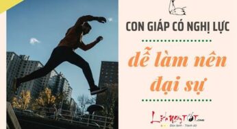 Không chấp nhận khuynh đảo, con giáp nghị lực tạo nên thành công lớn