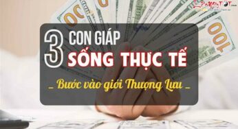 3 con giáp đạt thành công sớm, trở thành những tinh anh thực tế