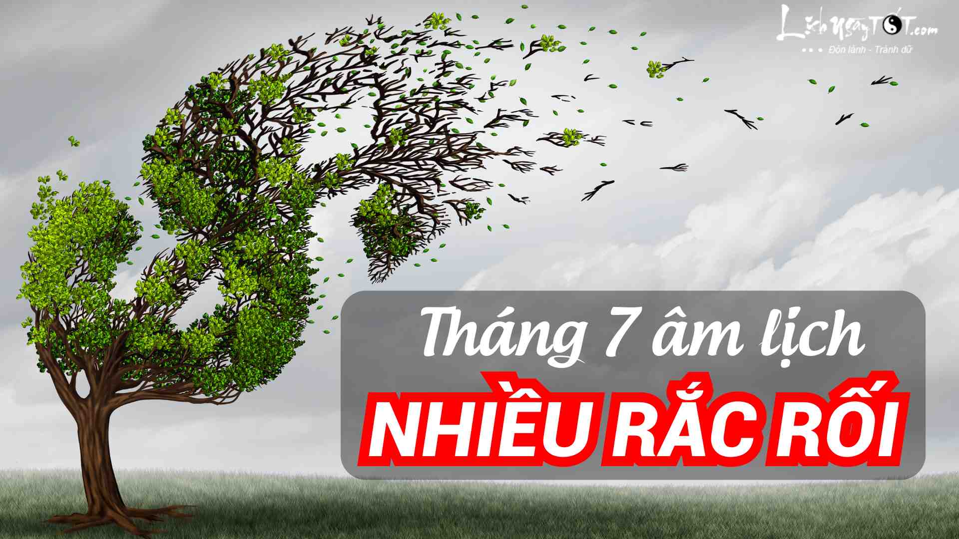 Con giap gap nhieu rac roi thang 7 am 2024