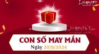 thụNgày 20/9/2024: Hưởng lộc từ Tổ Tiên với con số may mắn